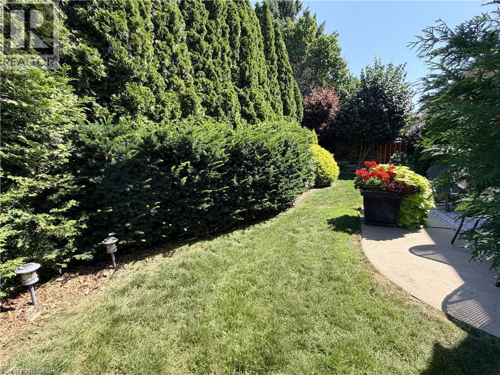 Landscaped garden path featuring a manicured lawn, established hedges, and a curved concrete patio - 7 Mann Avenue, Simcoe, ON - Outdoor