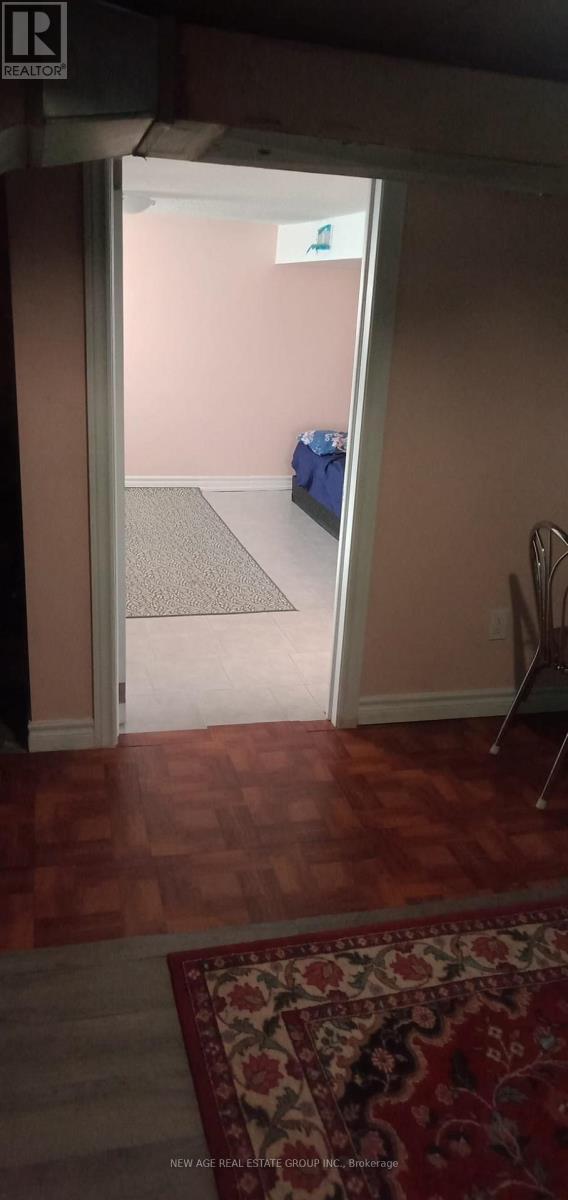 Basement - 22 Alice Street, Hamilton, ON - Indoor Photo Showing Other Room