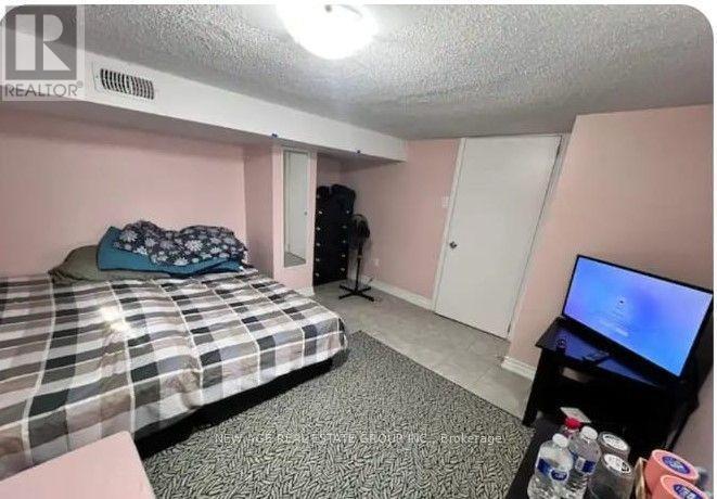 Basement - 22 Alice Street, Hamilton, ON - Indoor Photo Showing Bedroom