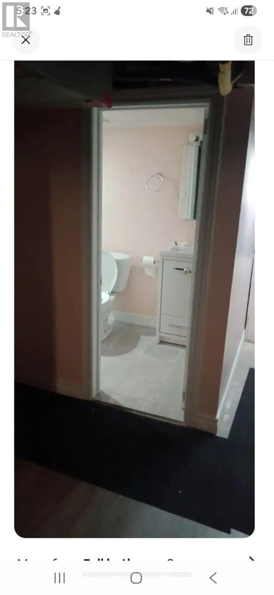 Basement - 22 Alice Street, Hamilton, ON - Other