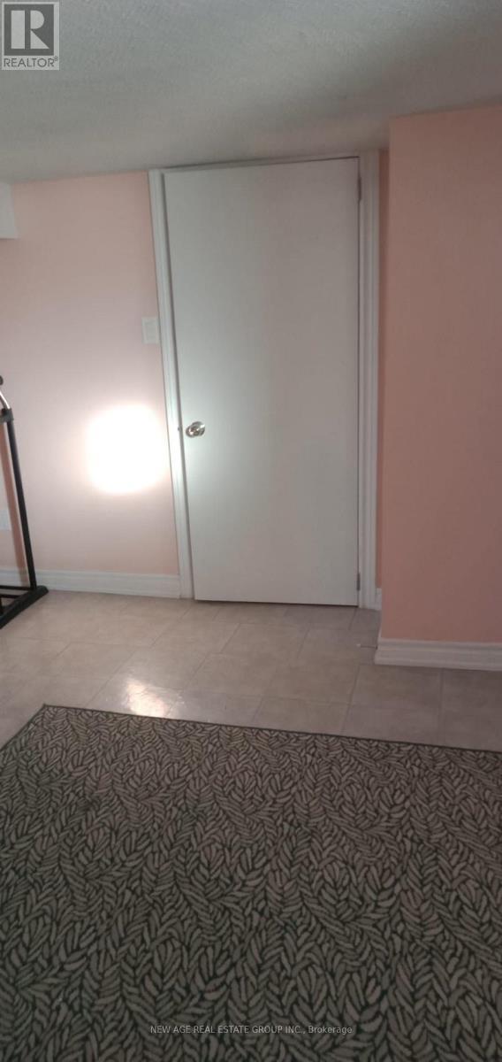 Basement - 22 Alice Street, Hamilton, ON - Indoor Photo Showing Other Room