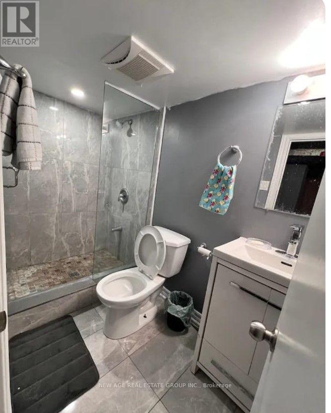 Basement - 22 Alice Street, Hamilton, ON - Indoor Photo Showing Bathroom