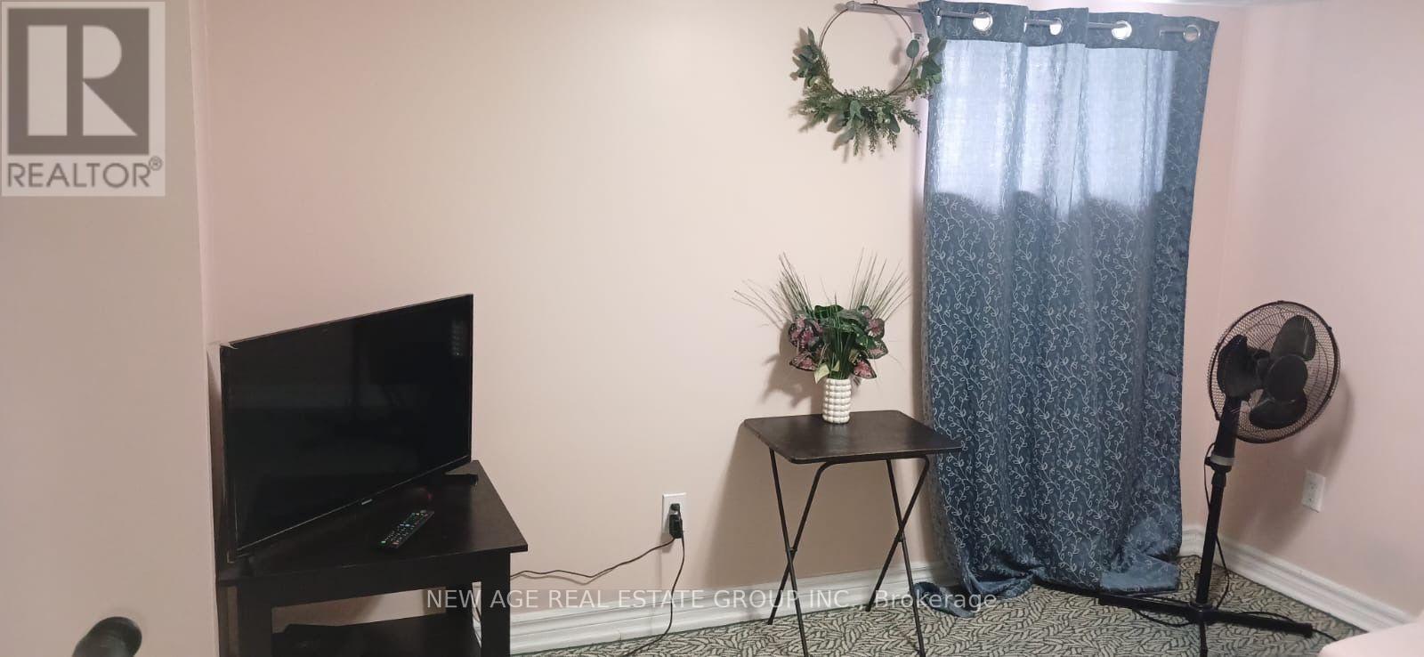 Basement - 22 Alice Street, Hamilton, ON - Indoor Photo Showing Other Room