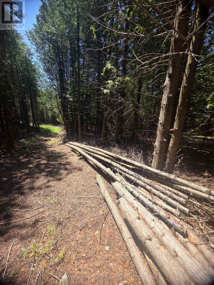 N/A Government Rd Acres W, Tehkummah, ON