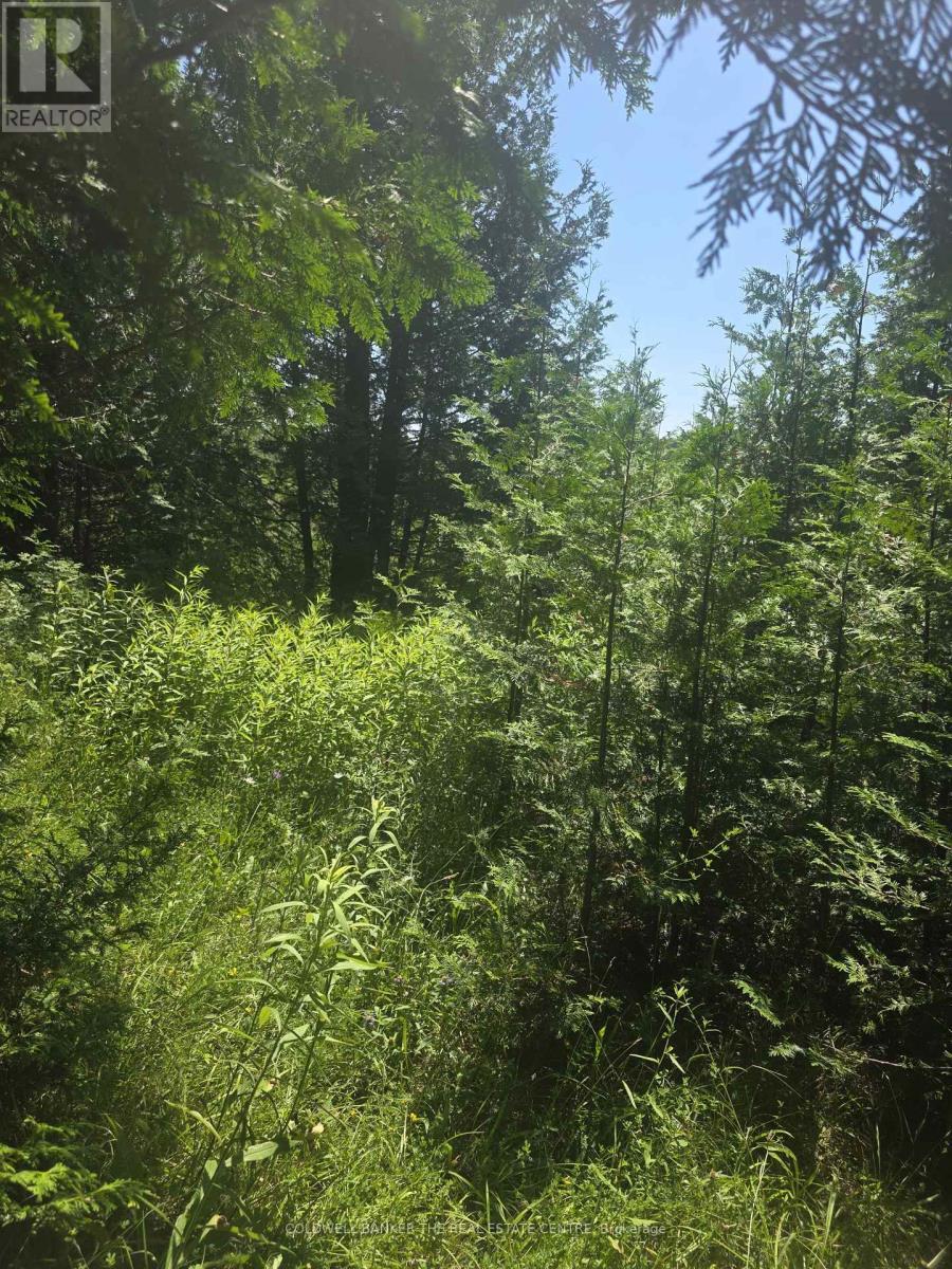 N/A Government Rd Acres W, Tehkummah, ON