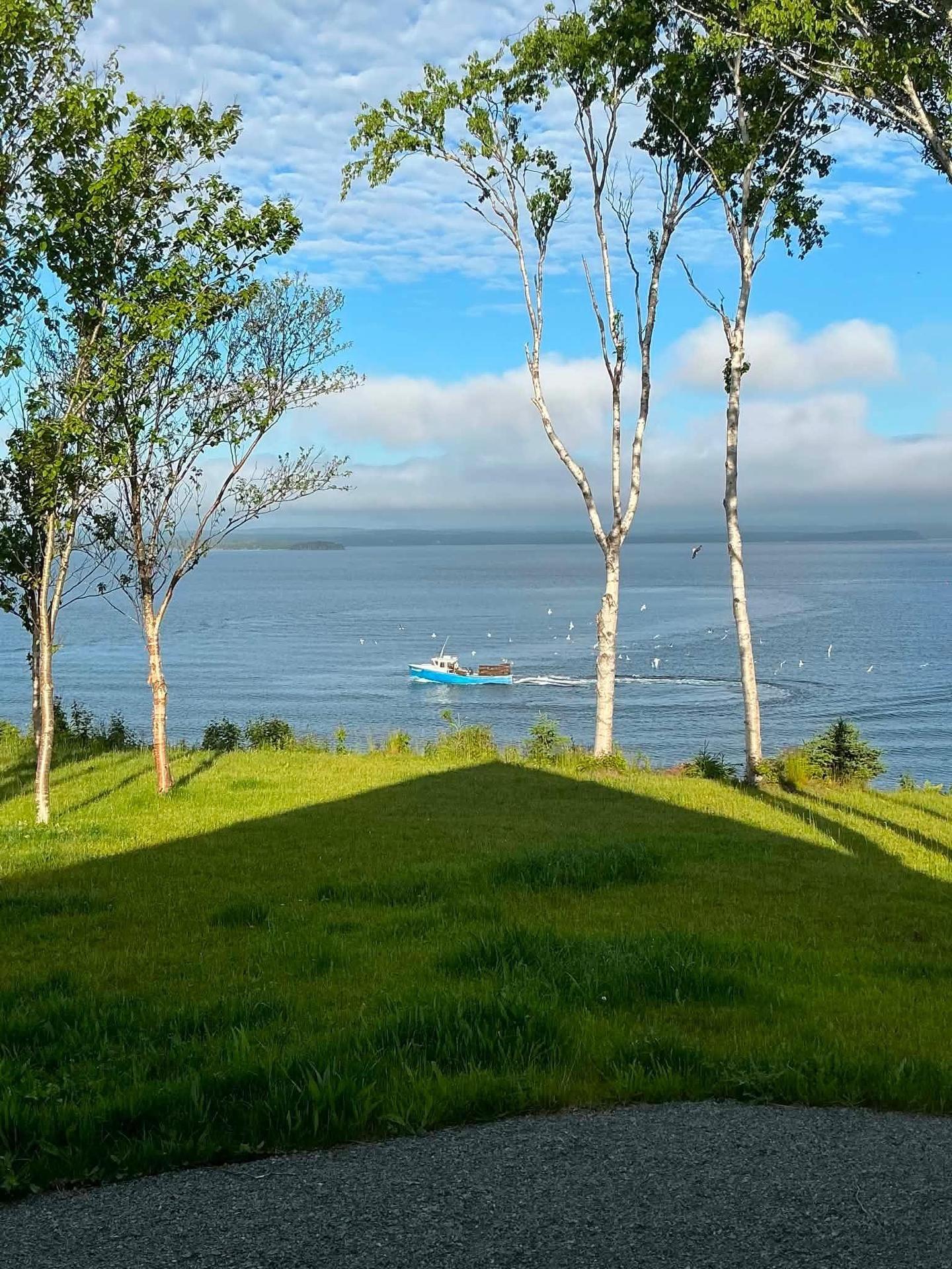 226 Torus Drive, Macnabs Cove, NS - Outdoor With Body Of Water With View