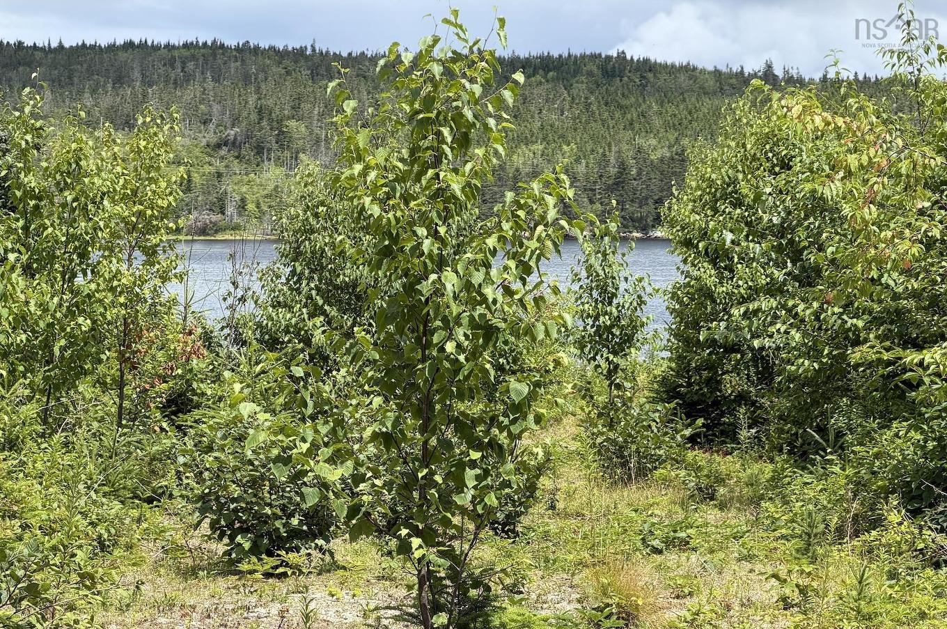 Lot 09-2 West Liscomb Point Road, Liscomb Mills, NS