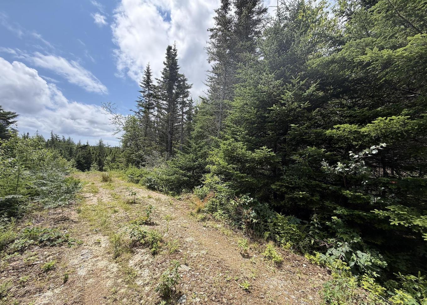 Lot 09-2 West Liscomb Point Road, Liscomb Mills, NS