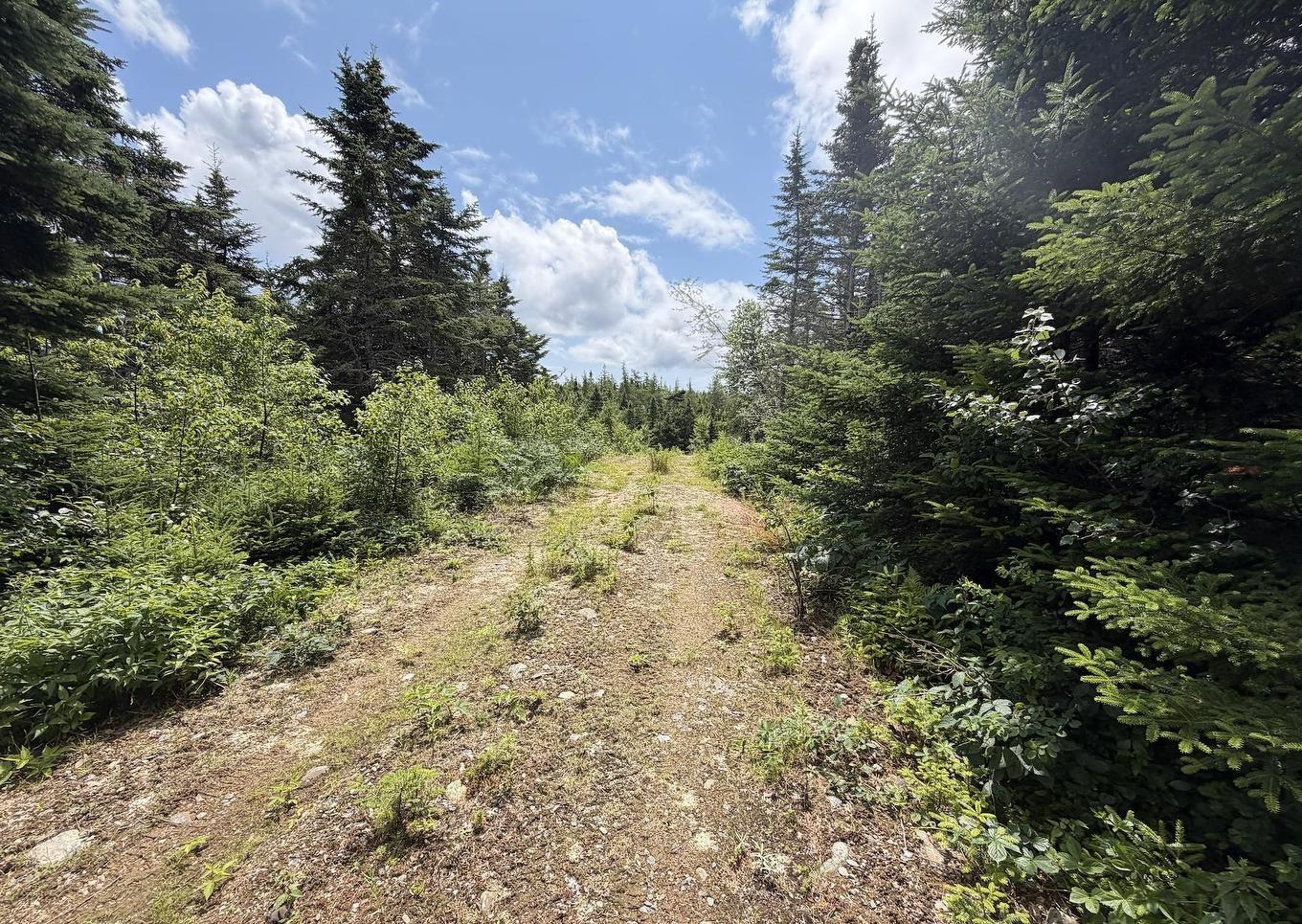 Lot 09-2 West Liscomb Point Road, Liscomb Mills, NS
