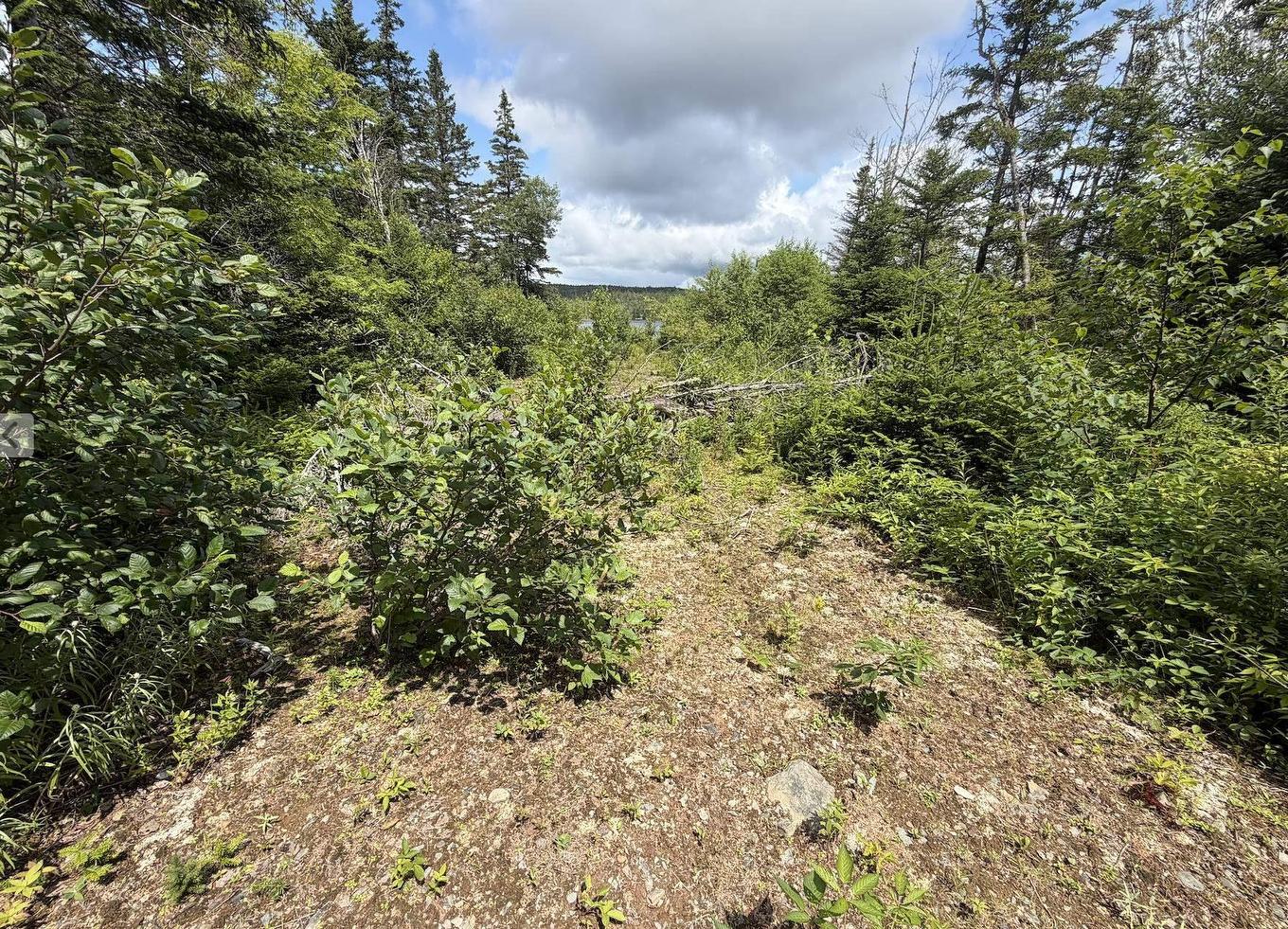 Lot 09-2 West Liscomb Point Road, Liscomb Mills, NS