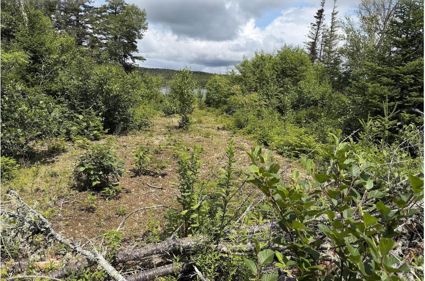 Lot 09-2 West Liscomb Point Road, Liscomb Mills, NS