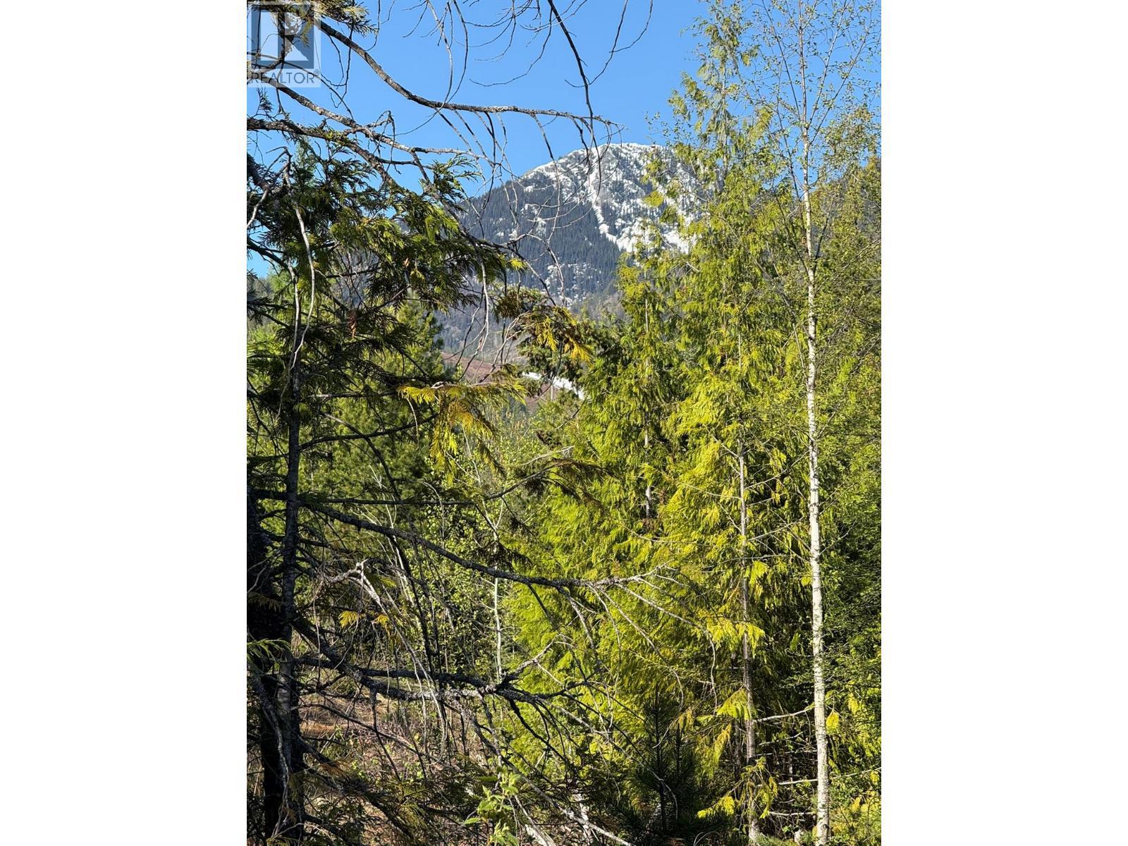 Lot C Richie Road, Rossland, BC