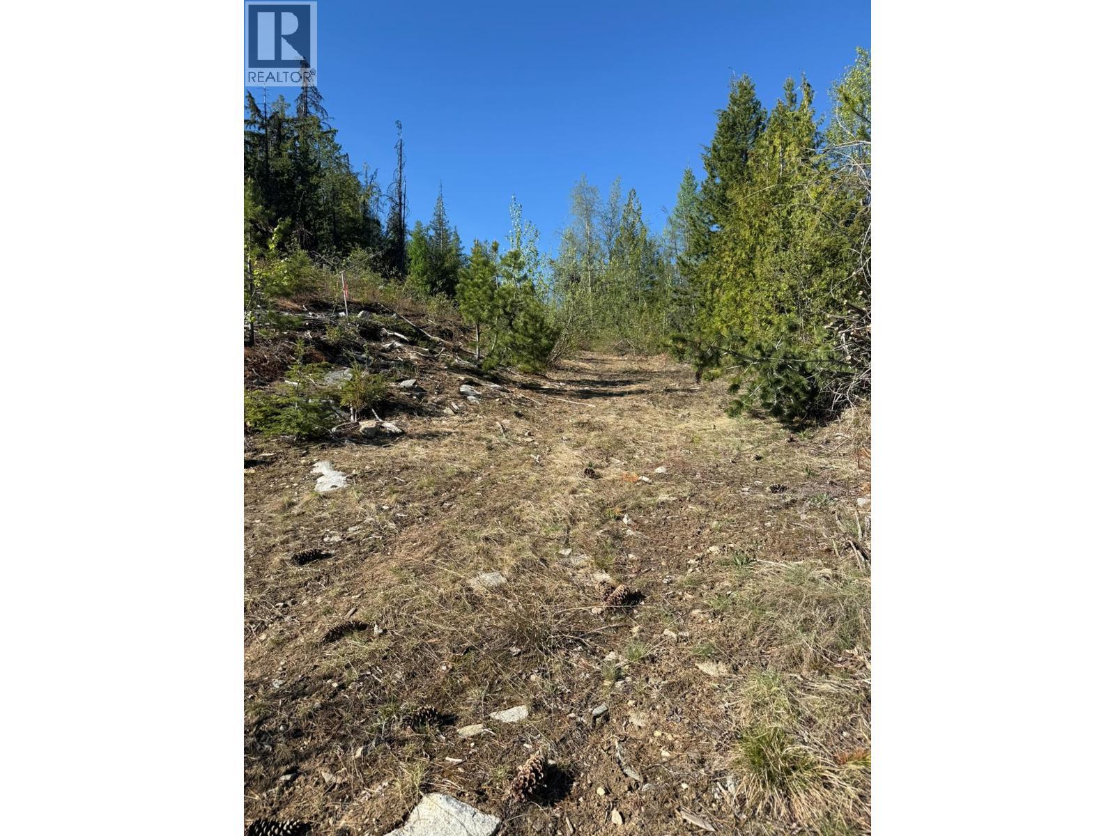 Lot C Richie Road, Rossland, BC