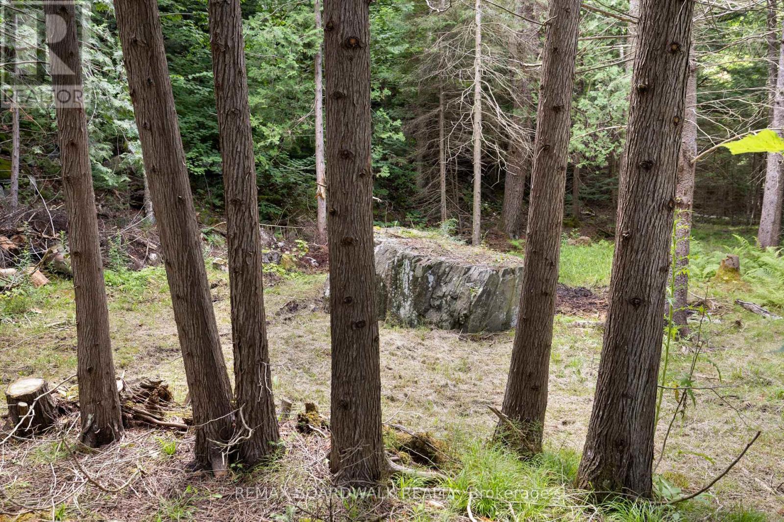 24163 Highway 7 Highway, Frontenac (Frontenac Centre), ON - Outdoor