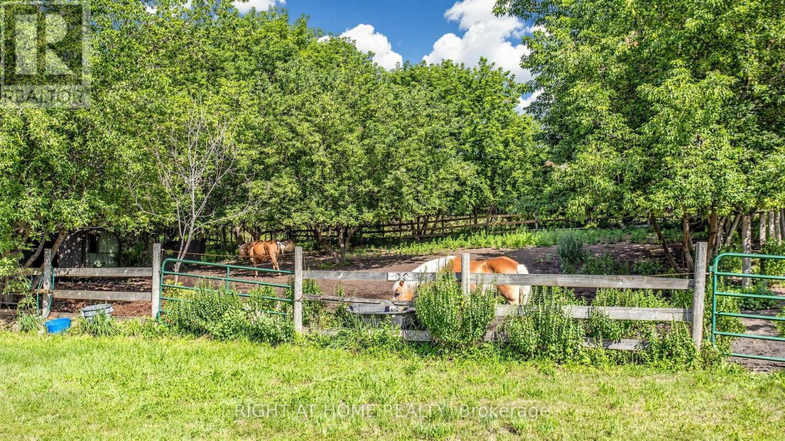 16558 Highway 48, Whitchurch-Stouffville, ON - Outdoor