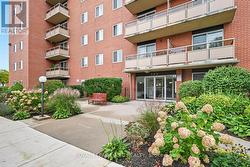 505 - 264 GRANTHAM AVENUE St. Catharines (Carlton/Bunting), ON L2M 5B5