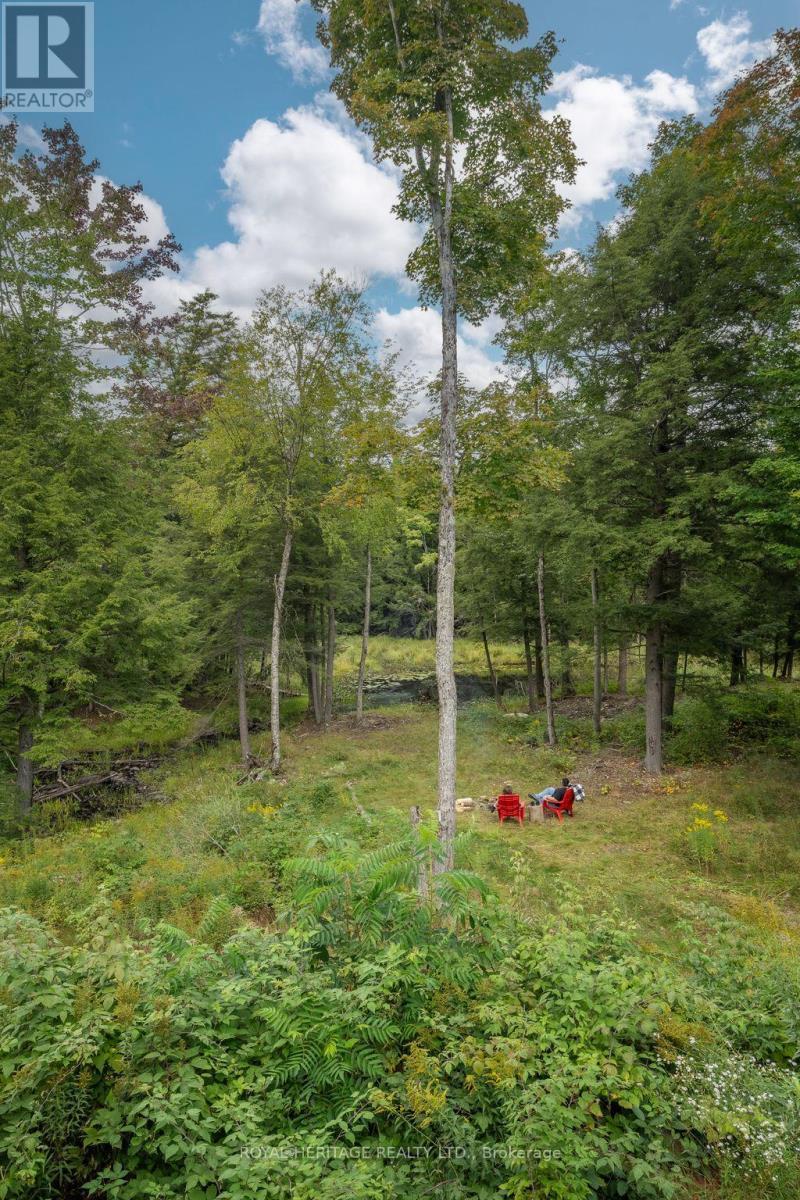 20195 62 Highway, Tudor And Cashel (Tudor Ward), ON - Outdoor With View