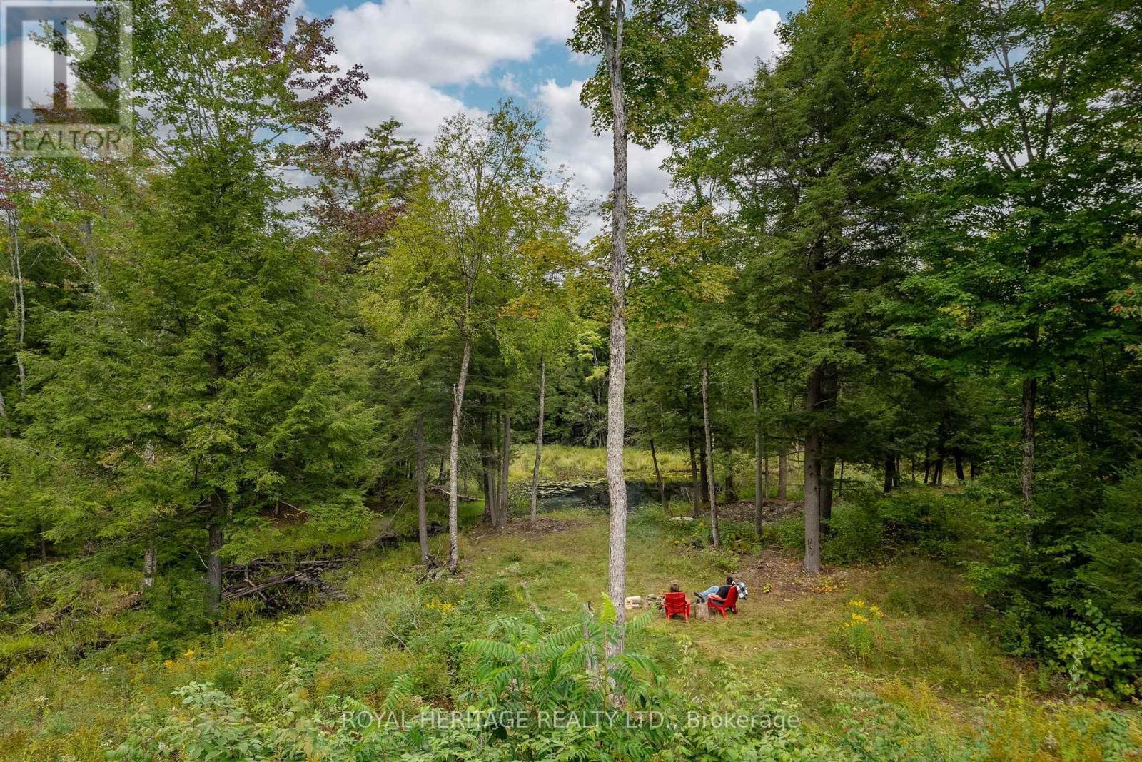 20195 62 Highway, Tudor And Cashel (Tudor Ward), ON - Outdoor With View