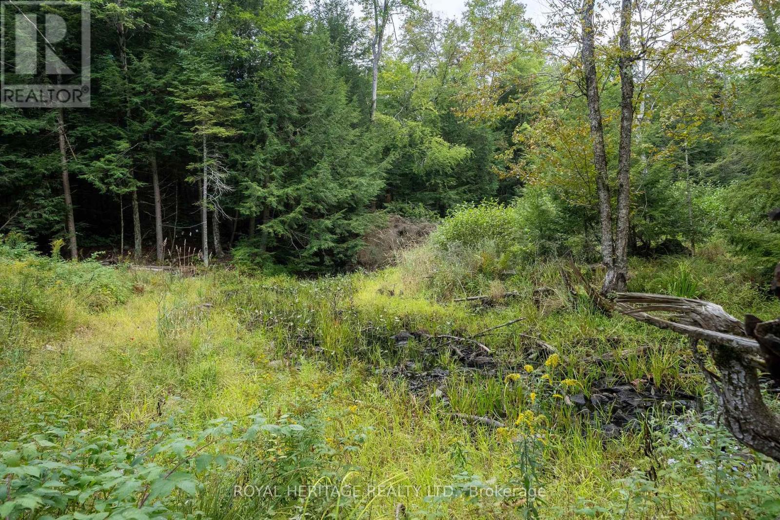 20195 62 Highway, Tudor And Cashel (Tudor Ward), ON - Outdoor With View