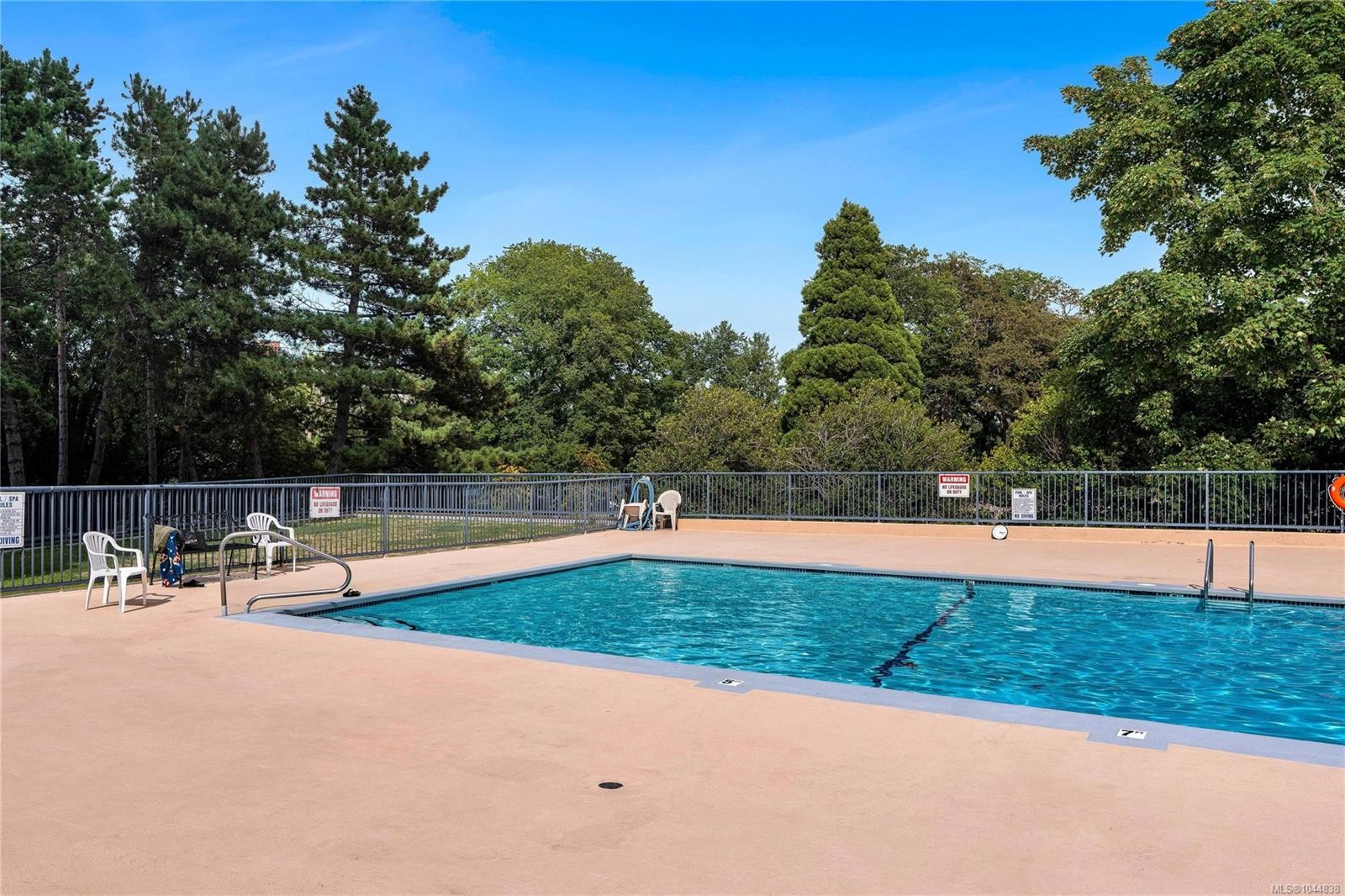 #2104-647 Michigan St, Victoria, BC - Outdoor With In Ground Pool With Backyard