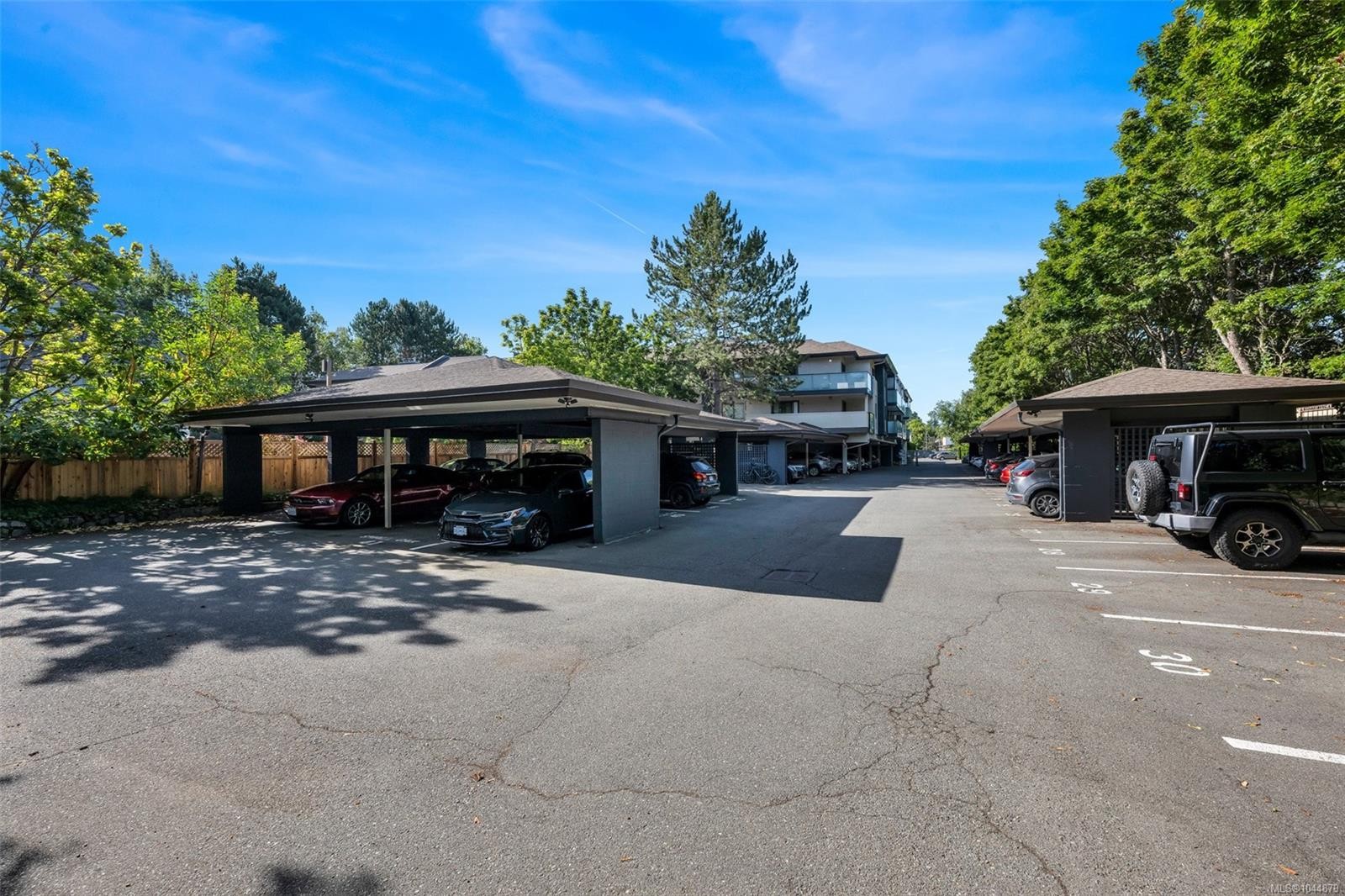 #201-3900 Shelbourne St, Saanich, BC - Outdoor