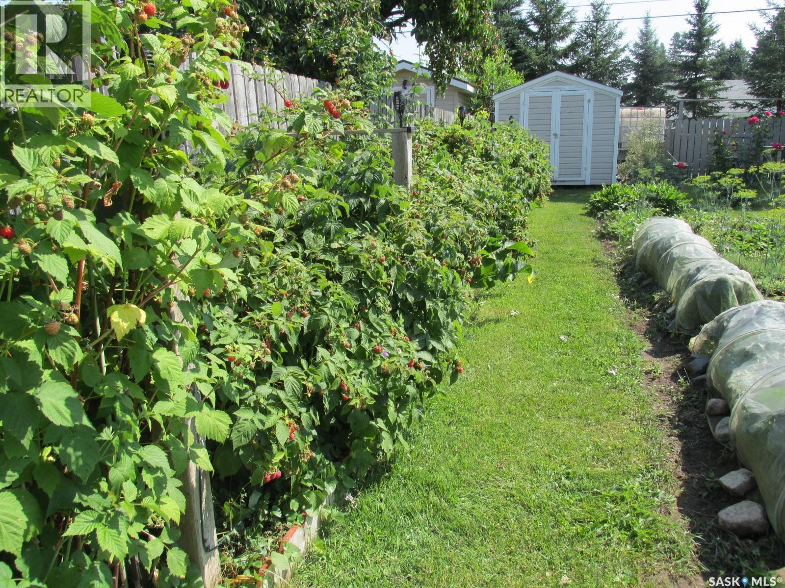 311 3Rd Street N, Nipawin, SK - Outdoor