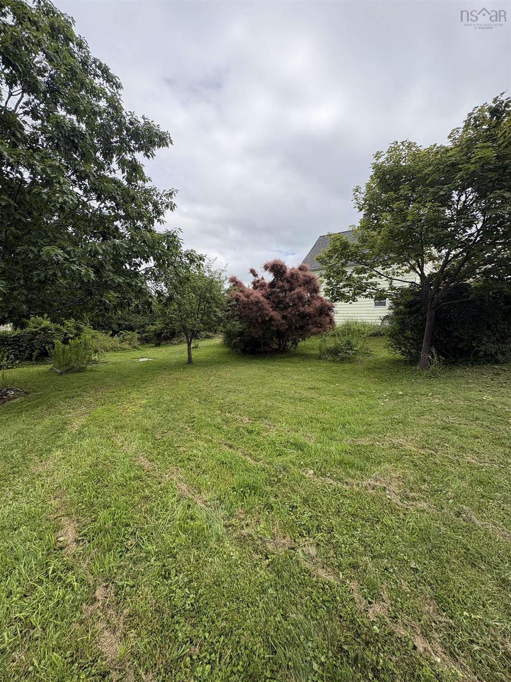 37 Rose Avenue, Trenton, NS - Outdoor