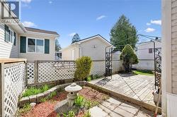 Outdoor patio featuring a wooden deck with a wrought iron pergola frame, surrounded by white lattice fencing -