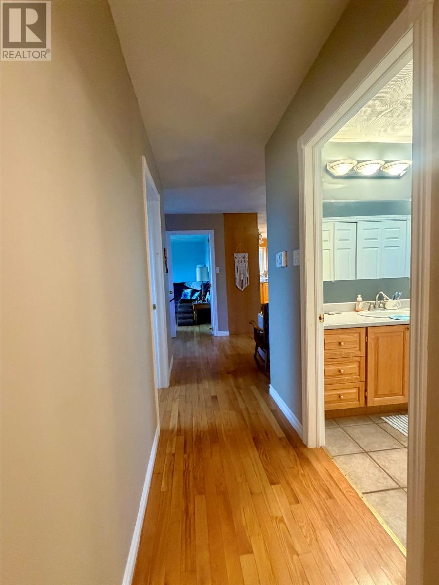 24 Branch Road, Winterland, NL - Indoor Photo Showing Other Room