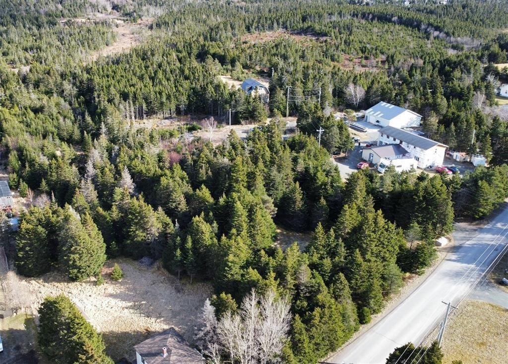 149 Springfield Road, South River, NL