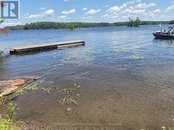 Dock in the bay - 