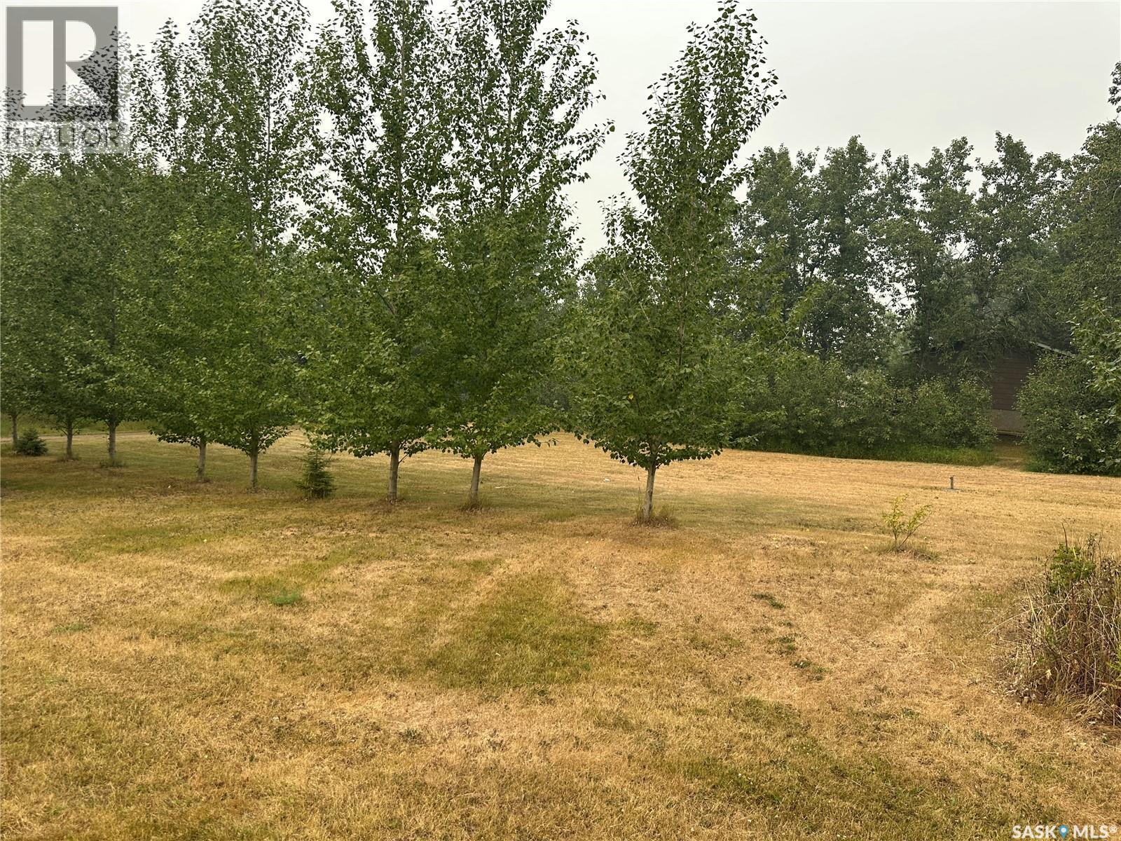 112 3Rd Avenue S, Big River, SK - Outdoor