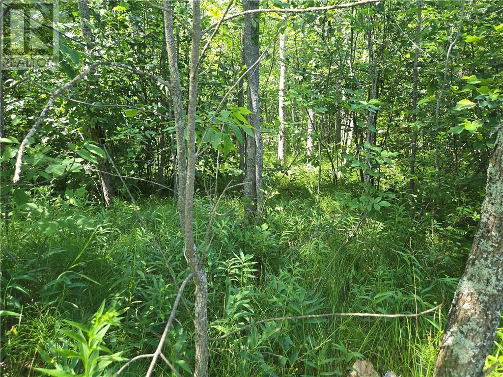 N/A 4Th Line, Gore Bay, ON