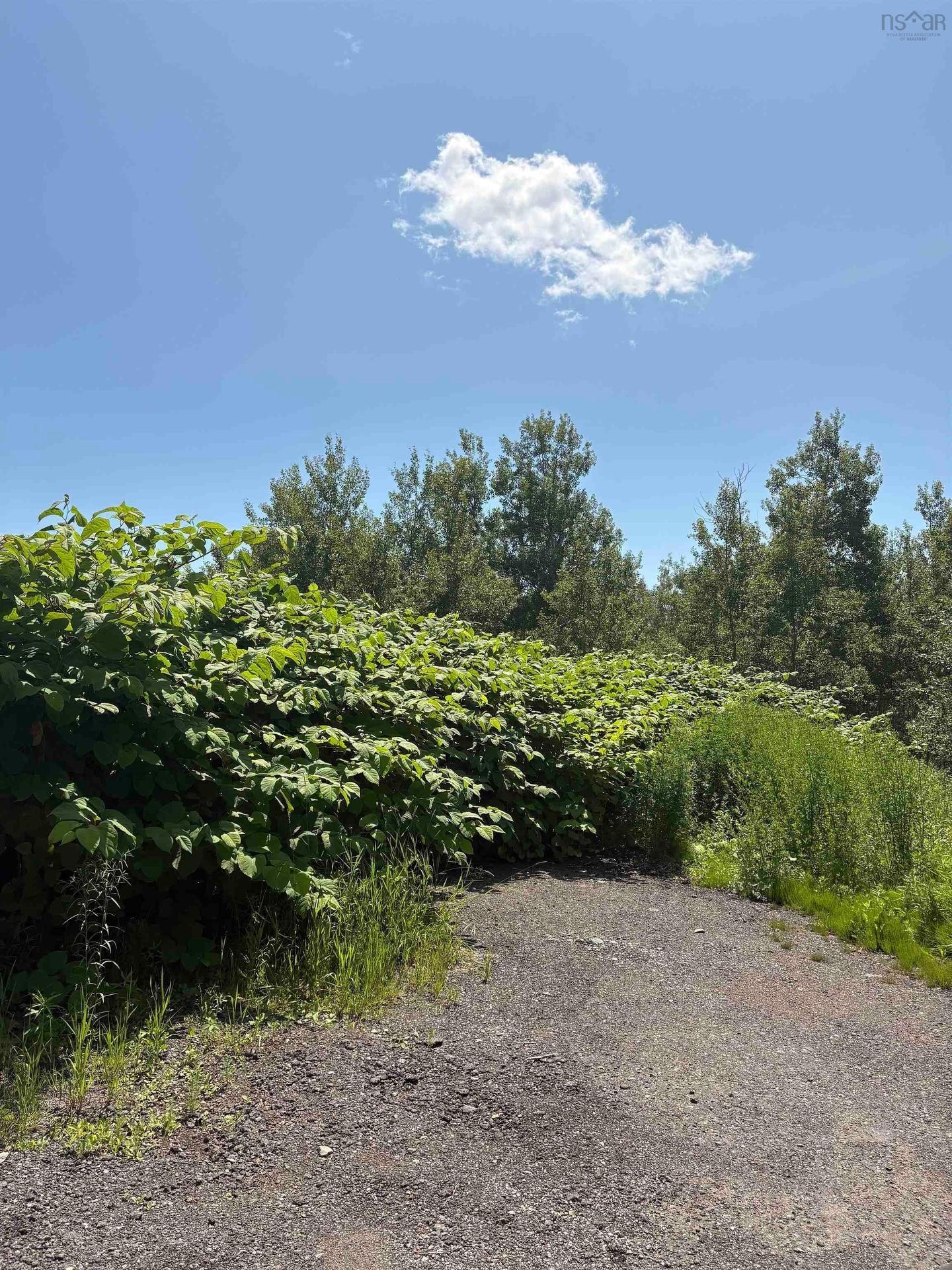 0 Lorway Avenue, Reserve Mines, NS