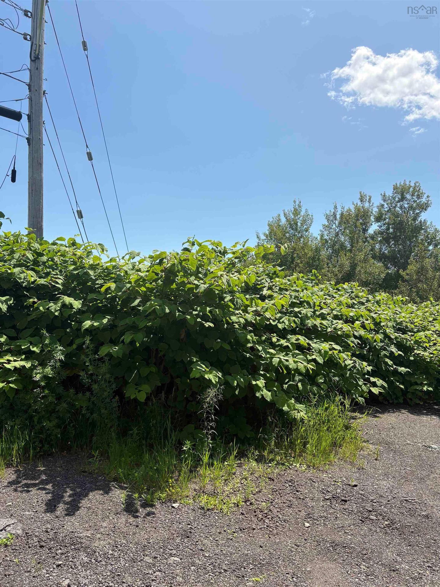 0 Lorway Avenue, Reserve Mines, NS