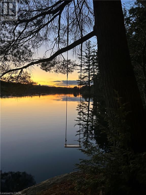Lakeside Swing - 3256 Machar Strong Boundary, Machar, ON - Outdoor With Body Of Water With View