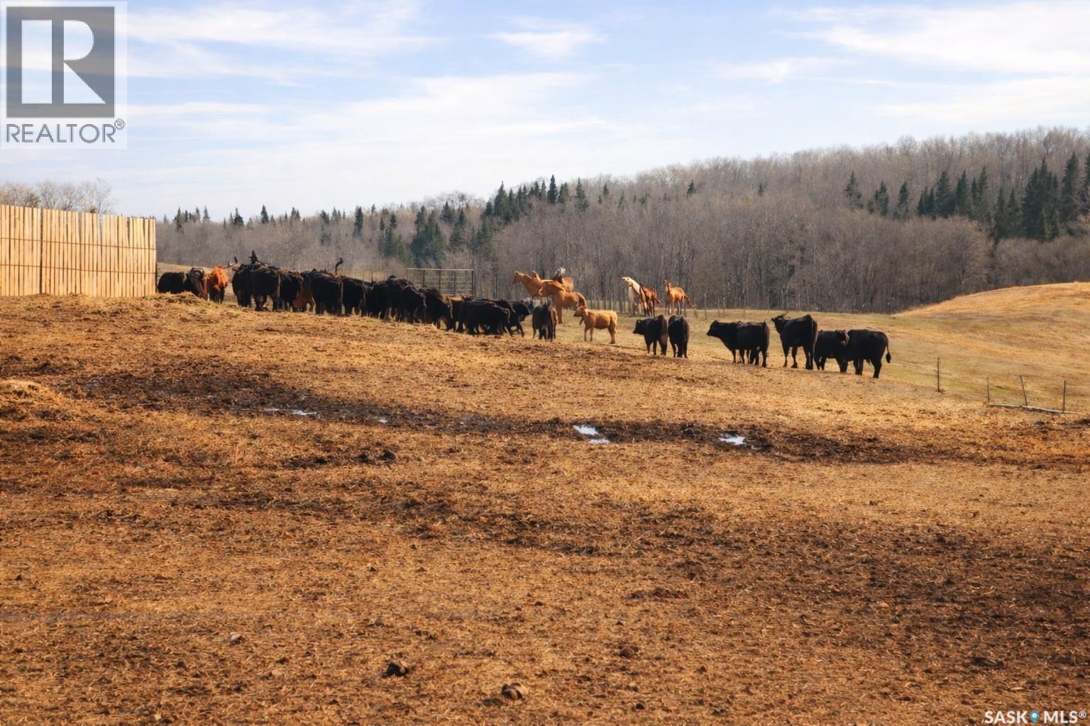 Sturgeon Valley Ranch, Shellbrook Rm No. 493, SK
