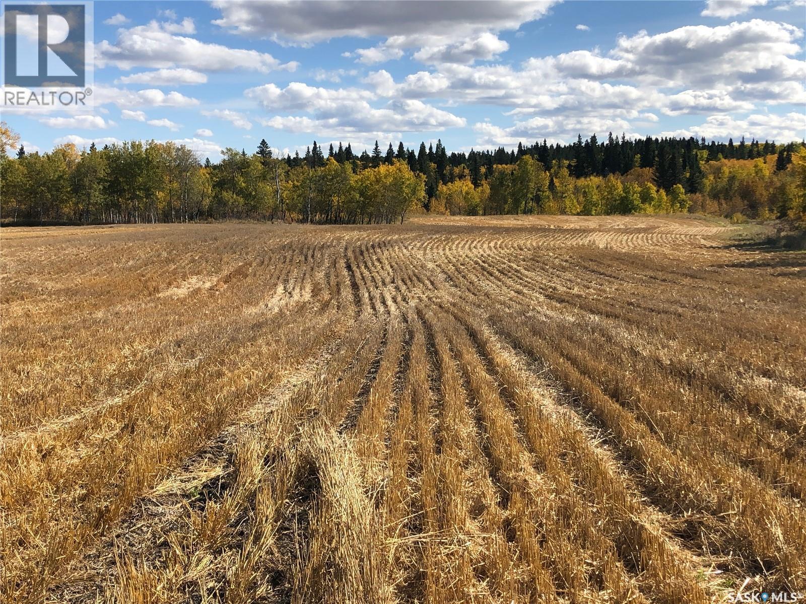Sturgeon Valley Ranch, Shellbrook Rm No. 493, SK