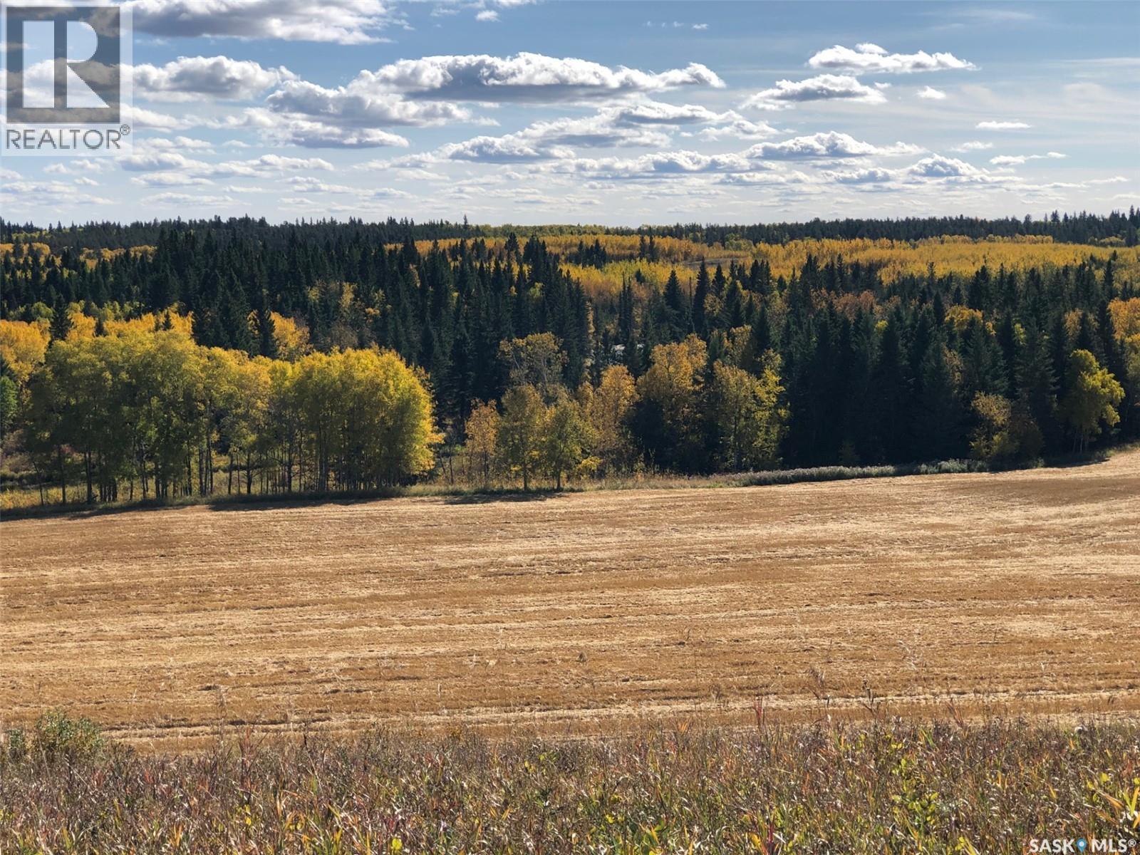 Sturgeon Valley Ranch, Shellbrook Rm No. 493, SK