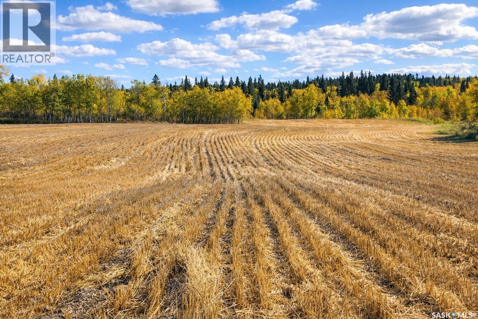 Sturgeon Valley Ranch, Shellbrook Rm No. 493, SK