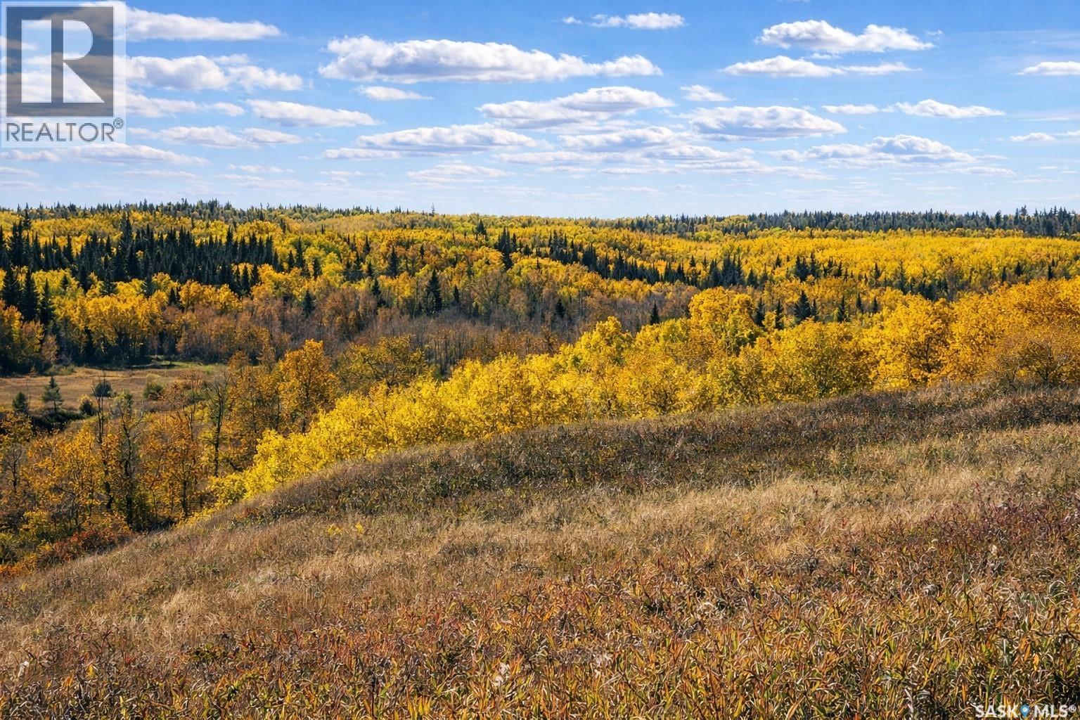 Sturgeon Valley Ranch, Shellbrook Rm No. 493, SK