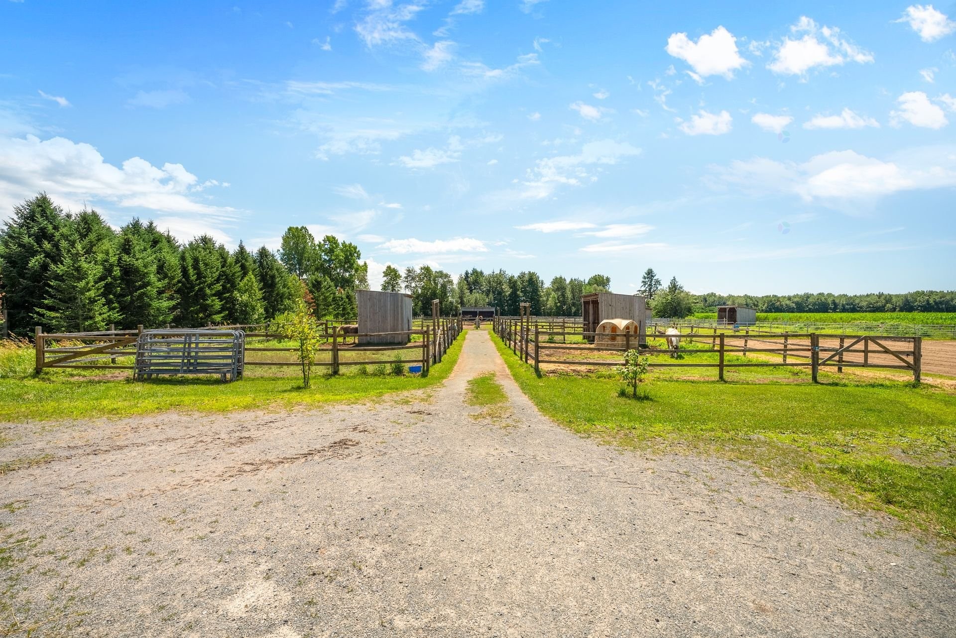 Lot - 138Z Ch. Viens, Saint-Alphonse-De-Granby, QC