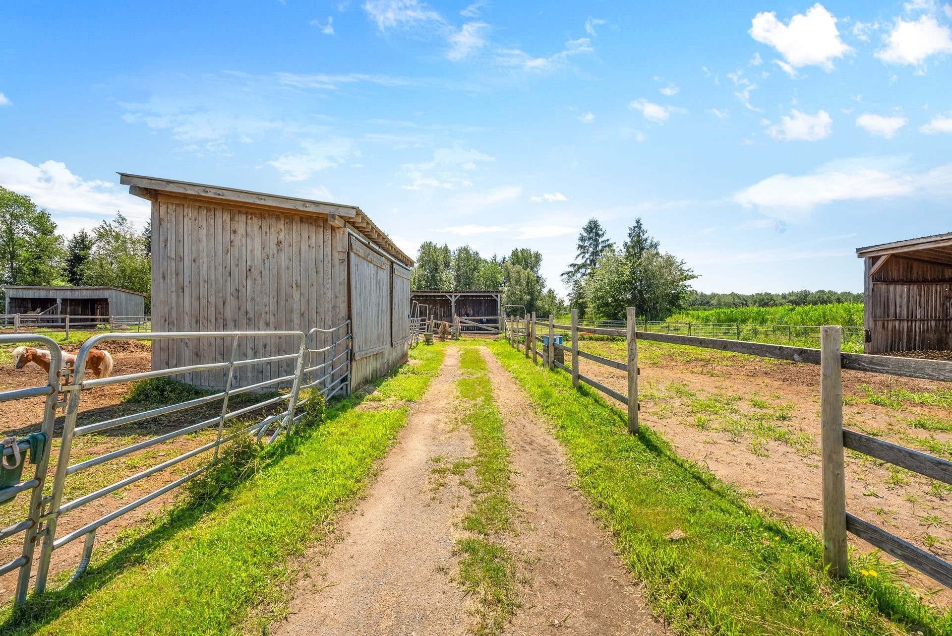 Lot - 138Z Ch. Viens, Saint-Alphonse-De-Granby, QC