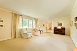 Salon - 