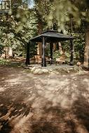 Gazebo Area - 