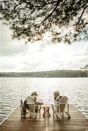 Deer Lake direct view from Dock - 
