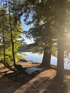 Lakefront Sandy Beach Area - 