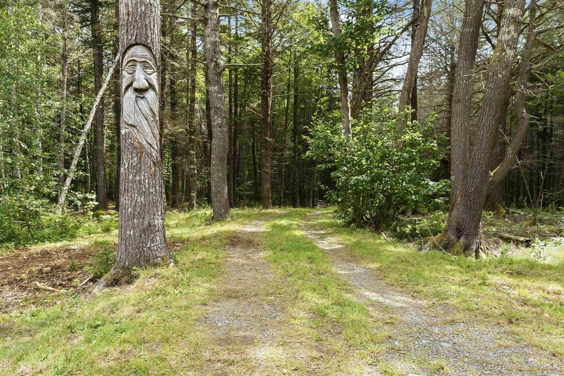 159 Jims Boulder Road, North Range, NS - Outdoor