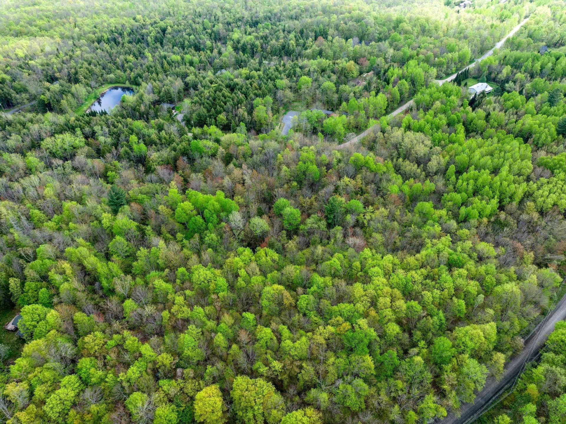 Autre - Ch. Des Faisans, Potton, QC