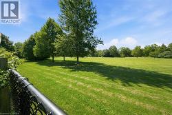 Expansive lawn area featuring mature trees and a chain-link fence - 